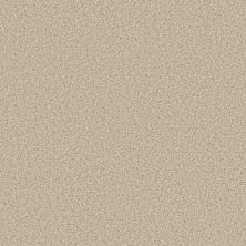 Anderson Tuftex Bella Nova Soft Linen 00120_ZZ378