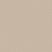Anderson Tuftex Bella Nova Salt Air 00130_ZZ378