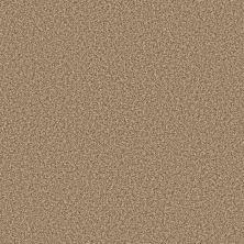 Anderson Tuftex Bella Nova Savannah 00230_ZZ378