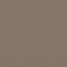 Anderson Tuftex SOMERSET Chic Taupe 00753_ZZ279