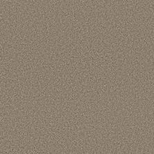 Anderson Tuftex FABULOUS Chic Taupe 00753_ZZ280