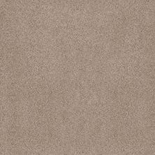 Anderson Tuftex SUMPTUOUS I Toasted Grain 00241_ZZ323