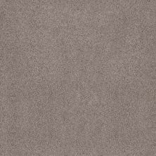 Anderson Tuftex SUMPTUOUS I Heritage Taupe 00751_ZZ323