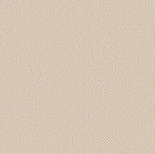 Anderson Tuftex GRACIOUS Ivory Paper 00100_ZZ325