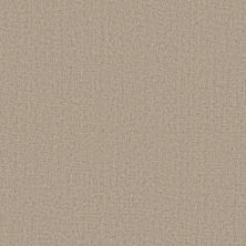 Anderson Tuftex Heirloom Collection Finesse Ash 00100_ZZ343