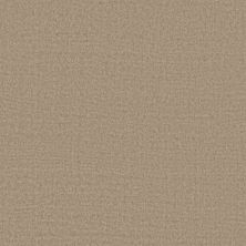 Anderson Tuftex Heirloom Collection Finesse Stroll 00101_ZZ343