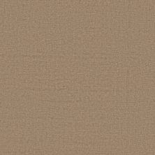 Anderson Tuftex Heirloom Collection Finesse Timberline 00700_ZZ343