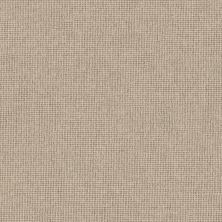 Anderson Tuftex Heirloom Collection Touchstone Starlight 00101_ZZ344