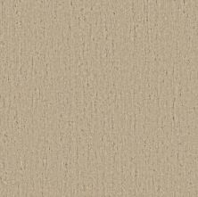 Anderson Tuftex Heirloom Collection Sensate Aspire 00101_ZZ345