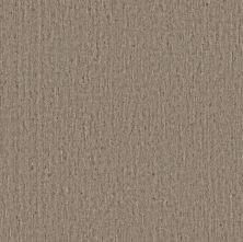 Anderson Tuftex Heirloom Collection Sensate Zen 00700_ZZ345