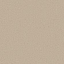 Anderson Tuftex Heirloom Collection Interwoven Cashmere 00100_ZZ348