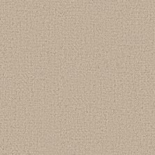 Anderson Tuftex Heirloom Collection Interwoven Linen 00101_ZZ348
