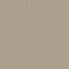 Anderson Tuftex Heirloom Collection Interwoven Silk 00500_ZZ348