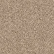 Anderson Tuftex Heirloom Collection Interwoven Bamboo 00700_ZZ348