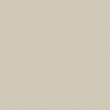 Anderson Tuftex Finery Alabaster 00152_ZZ351