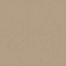 Anderson Tuftex Finery Cashmere 00155_ZZ351