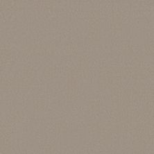 Anderson Tuftex Finery Putty 00157_ZZ351