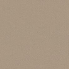 Anderson Tuftex Finery Sand Bar 00158_ZZ351