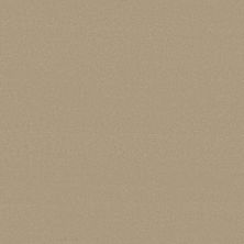 Anderson Tuftex Finery Toasted Almond 00159_ZZ351