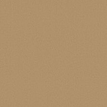 Anderson Tuftex Finery Lamp Light 00251_ZZ351