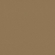 Anderson Tuftex Finery Cider 00252_ZZ351