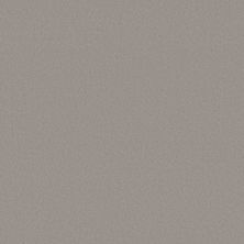 Anderson Tuftex Finery Concrete 00551_ZZ351