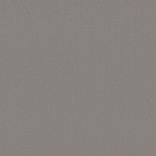 Anderson Tuftex Finery Stone 00552_ZZ351