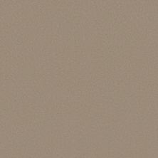 Anderson Tuftex Finery Crisp Khaki 00750_ZZ351