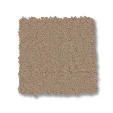 Anderson Tuftex Finery Desert Dune 00110_ZZ351