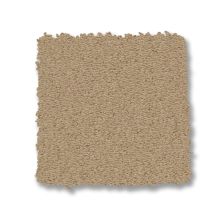 Anderson Tuftex Finery Burlap 00113_ZZ351