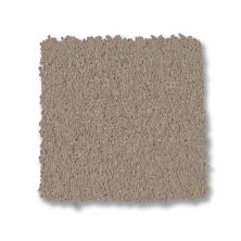 Anderson Tuftex Finery Dusty Trail 00115_ZZ351