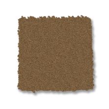 Anderson Tuftex Finery Candied Pecan 00203_ZZ351