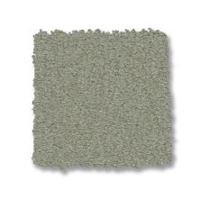 Anderson Tuftex Finery Saybrook Sage 00301_ZZ351