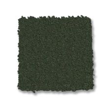 Anderson Tuftex Finery Palm Leaf 00307_ZZ351