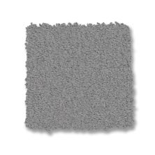 Anderson Tuftex Finery Stainless 00502_ZZ351