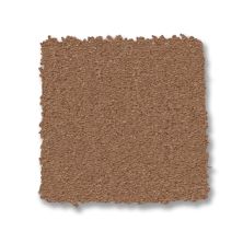 Anderson Tuftex Finery Camel 00602_ZZ351