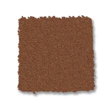 Anderson Tuftex Finery Copper 00603_ZZ351