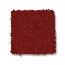 Anderson Tuftex Finery Spice 00605_ZZ351