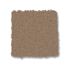 Anderson Tuftex Finery Crisp Tan 00700_ZZ351