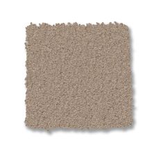 Anderson Tuftex Finery Pebble Path 00701_ZZ351