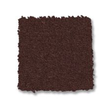 Anderson Tuftex Finery Umber 00707_ZZ351