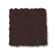 Anderson Tuftex Finery Coffee Bean 00708_ZZ351