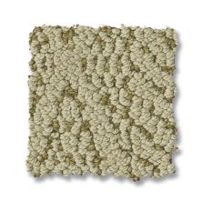 Anderson Tuftex Crochet Sprout 00300_ZZ352