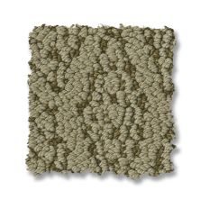 Anderson Tuftex Crochet Moss 00303_ZZ352