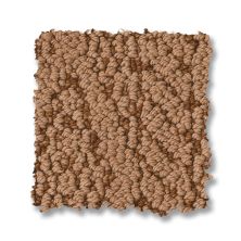 Anderson Tuftex Crochet Rodeo Tan 00601_ZZ352