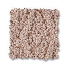 Anderson Tuftex Crochet Desert 00707_ZZ352