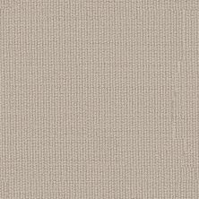 Anderson Tuftex Laine Sand Dollar 00102_ZZ361