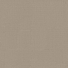Anderson Tuftex Laine Driftwood 00702_ZZ361