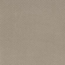 Anderson Tuftex Aperture Flax 00105_ZZ391