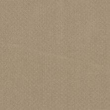 Anderson Tuftex Aperture Warm Beige 00107_ZZ391